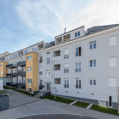 Park Castelnau